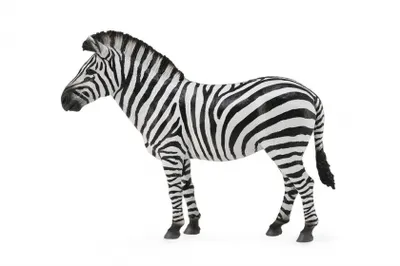 Obrázok produktu pre Collecta Divoké zvieratá Steppezebra 12 cm COLECTA