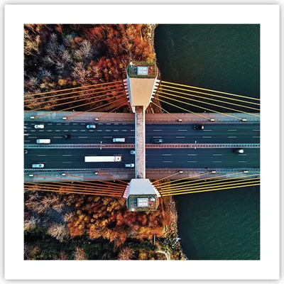 Produktbild von Poster - Poster ohne Rahmen - Brücke Siekierkowski Warschau - 50x50 cm - Wand Bild - Wanddeko - Wandbilder - Kunstposter - Wandposter - Bilder - Kunstdruck - Wanddekoration - P2XAC50x50-4663