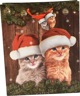 Produktbild von 24 Stück Geschenktasche Weihnachtstüte Katzen mit Weihnachtsmütze B 26 cm x H 32 cm x T 12 cm