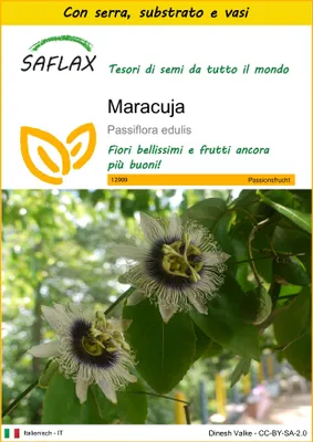 Immagine prodotto di SAFLAX Insieme di coltivazione - Maracuja - 40 semi - Passiflora