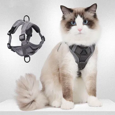 Produktbild von Klettbares Katentuig mit Riemen -Klettset und -Seil, Anti-Entweichungssatz aus weichem Netz für alle Katzen (Größe M).