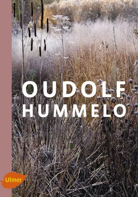 Produktbild von Oudolf Hummelo