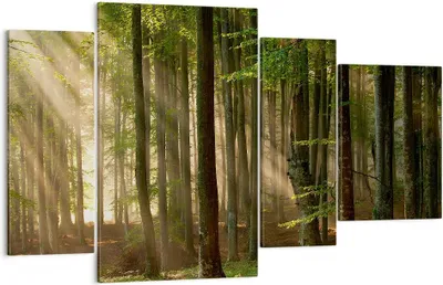 Produktbild von Bild auf Leinwand - Leinwandbild - Wald Baum Natur - 120x70cm - Wand Bild - Wanddeko - Wandbilder - Leinwanddruck - Bilder - Kunstdruck - Wanddekoration - Leinwand bilder - Wandkunst - DL120x70-3628