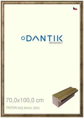 Obrázek produktu pro DANTIK rámeček 70x100 | TRITON bílý bronz (Plexi Čiré)