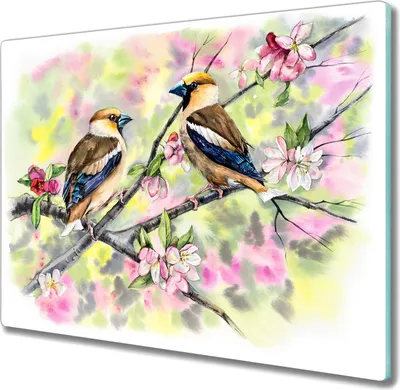 Produktbild von Coloray Schneidebrett Herdabdeckplatte 60x52 cm Kochplattenabdeckung Hackbrett Küchenbrett - Tiere Vögel