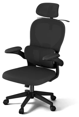 Zdjęcie produktu dla NAIZY Ergonomiczne krzesło biurowe, czarne, krzesło do biurka z 4D podparciem głowy, krzesło z siatką, regulowane na wysokość, wytrzymałe do 150 kg