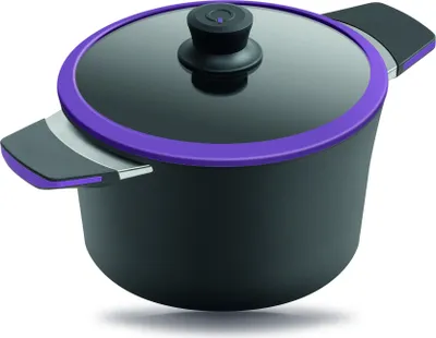 Produktbild von Gastrolux Squalit Glaskeramik Topf inkl. Deckel - 4,0L - 20 cm - Violett 30400V