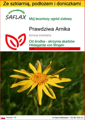 Zdjęcie produktu dla SAFLAX - Zestaw do uprawy - Prawdziwa Arnika - 40 Nasiona - Z mini szklarnią, podłożem uprawowym i 2 doniczkami - Arnica montana