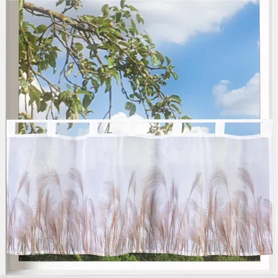 Produktbild von heimtexland ® Scheibengardine Gardine Digitaldruck HxB 45x120 Fensterdekoration Bad Maritim  Typ789 Pampasgras Weiß