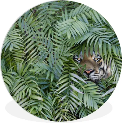 Produktbild von MuchoWow® Rundes Wandbild - Runde Bilder Tiger - Blätter - Farn Ø 60 cm Kreis Wanddekoration Kunststoff - Wandkreis - Wandschmuck - Wand Kreis - Das Schlafzimmer - Die Bilder - Wandmalerei - Kunst für das Haus - das Plastik