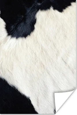 Produktbild von MuchoWow® Poster Vlies - Kuh - Tiere 80x120 cm - Papierdruck