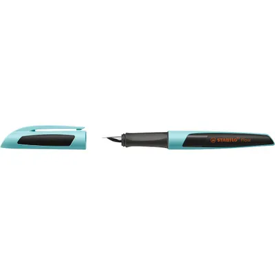 A fountain pen and its cap are shown against a white background.