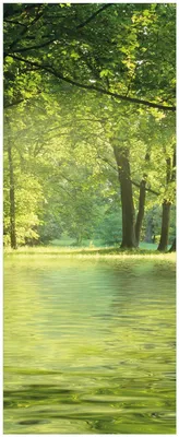 Produktbild von Wallario Memoboard Magnettafel aus Glas, Größe 32 x 80 cm, Motiv Idyllischer See im Wald bei Sonnenschein