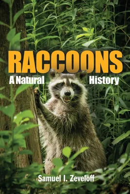 Produktbild von Raccoons