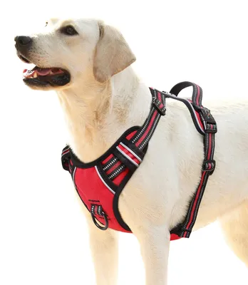 Image de Harnais pour grands chiens, réglable et réfléchissant, rouge, taille XL