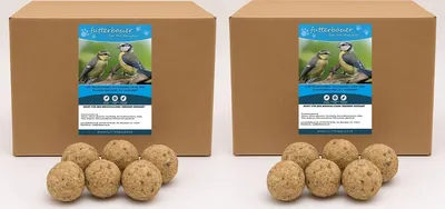 Two cardboard boxes of bird food with bird food balls in front of them.