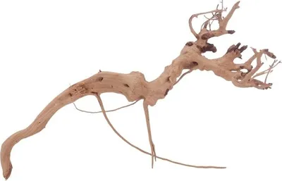 Produktbild von M Siennawurzel Nr.3258 Wurzel Holz Aquarium Deko Aquascaping