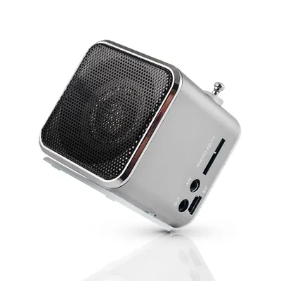 Obrázok produktu pre SETTY reproduktor s rádiom MF-100, strieborný (GSM008716)