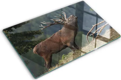 Produktbild von Tulup Glas Herdabdeckplatte - 80x52 cm - Glaskeramikkochfeld-Abdeckung Spritzschutz Glasabdeckplatte - Einteilig - Tiere - Hirsch auf dem Hügel - Braun