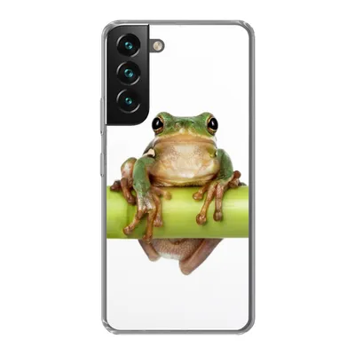 Produktbild von MuchoWow® Handyhülle Schutzhülle Hülle für Samsung Galaxy S22 Plus Frosch - Bambus - Weiß Silikon Softcase Handy Hülle - Schutzabdeckung