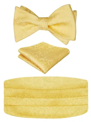 Produktbild von Herren Fliegen-Kummerbund-Pocket Square Set Paisley Golden Verstellbar Polyester