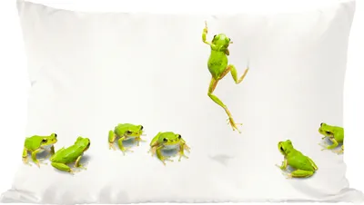 Produktbild von MuchoWow® Zierkissen Sofakissen Wohnzimmer Dekokissen 50x30 cm Frosch - Tiere - Grün - Wohnzimmerdekoration - Polster mit Photo