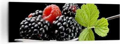 Produktbild von Bild auf Leinwand - Leinwandbild - Löffel Himbeere Brombeere Frucht - 160x50cm - Wand Bild - Wanddeko - Leinwanddruck - Bilder - Kunstdruck - Leinwand bilder - Wandkunst - AB160x50-2202