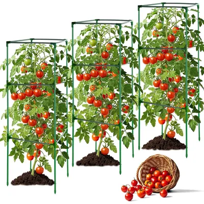 Produktbild von Set von 3 Tomatenstützen aus robustem Stahl für den Garten