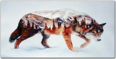 Produktbild von Coloray Bild aus Acryl 120 cm x 60 cm - Wanddekoration Küche Acrylblock mit Bild Dekoration Wohnzimmer Gehärtetes Acryl - Wolf Winterwald