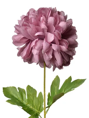 Image de Clayre & Eef Fleur artificielle 80 cm Violet Plastique