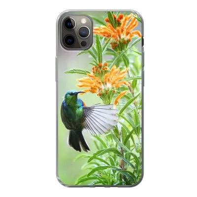 Produktbild von MuchoWow® Handyhülle Schutzhülle Hülle für iPhone 13 Pro Max Nahaufnahme eines bunten Vogels neben Pflanzen mit orangefarbenen Blüten Silikon Softcase Handy Hülle - Mobiltelefon