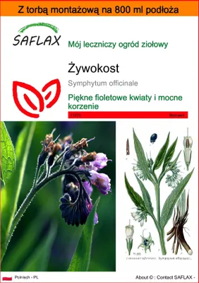 Zdjęcie produktu dla SAFLAX - Garden in the bag - Żywokost - 15 Nasiona - Z podłożem uprawowym w praktycznej, samorozkładającej się torbie - Symphytum officinale
