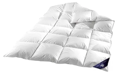Produktbild von 100% Natur 200x220cm Füllung 1800 g Winterdecke Daunen Federn Decke Bettdecke Zudecke Kassetten Steppbett Steppdecke Kissen