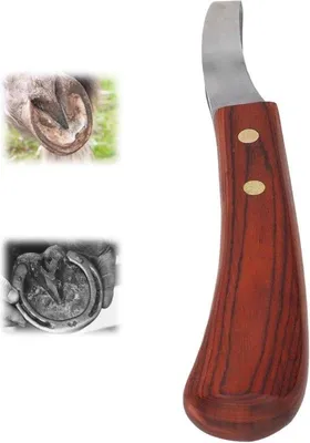 Produktbild von Hufschneider mit Holzgriff - Hufpflege Reinigungswerkzeug - Edelstahl