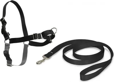 Zdjęcie produktu dla Szelki bezpieczeństwa PetSafe Easy Walk Black Medianav (M)
