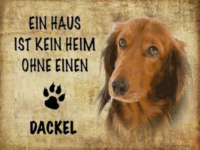Produktbild von vianmo Holzschild 30x40 cm Dackel Hund ohne kein Heim