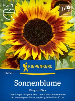 Produktbild von Kiepenkerl Sonnenblumensamen Ring of Fire Helianthus annuus 20 Pflanzen