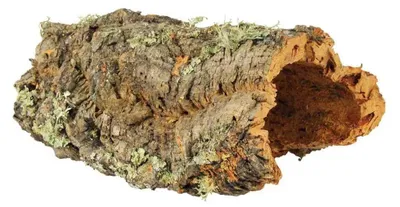 Produktbild von Korkplatte für Terrarien 15–25 cm × 28–55 cm