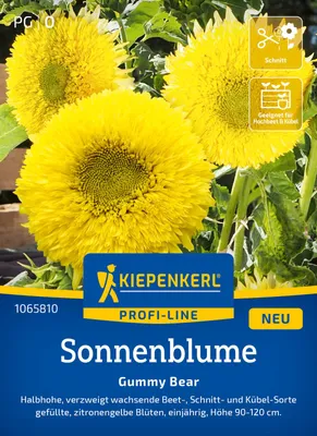 Produktbild von Kiepenkerl Sonnenblumensamen Gummy Bear Helianthus annuus 20 Pflanzen