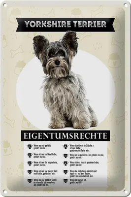 Produktbild von Blechschild Spruch 20x30cm Yorkshire Terrier Eigentumsrechte