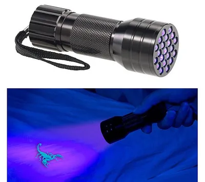 Image de Lampe de poche UV et testeur de billets 2 en 1