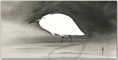 Produktbild von Coloray Bild aus Leinwand 120x60 Leinwand Dekoration - Pet Vogel Wasser