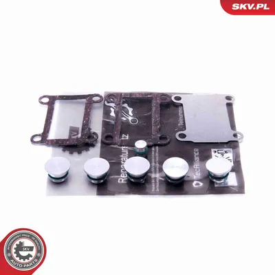 Produktbild von ESEN SKV Reparatursatz Saugrohrmodul 49SKV526 für FIAT CROMA (194) 0,08kg