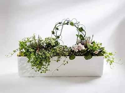 Obrázek produktu pro Květinový truhlík Berberis se zavlažovacím systémem, samozavlažovací 60 cm a 80 cm, barva: světle modrá - bílá, velikost / průměr: 60 cm