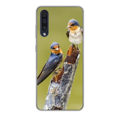 Produktbild von MuchoWow® Handyhülle Schutzhülle Hülle für Samsung Galaxy A50 Vögel - Zweig - Porträt Silikon Softcase Handy Hülle - Mobiltelefonhülle