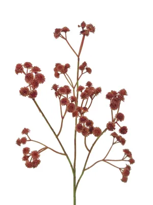 Produktbild von 2474U Künstlicher Zwergsternzweig in Lachsrosa, Naturgetreuer Dekozweig, Kunstblume, 48 cm