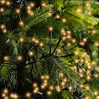 Produktbild von Kaemingk Lumineo Cluster Lichterkette 2040 LED klassisch warm außen 19 m schwarz