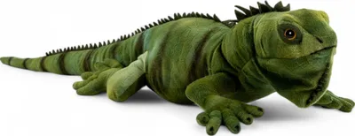 Image de Carl Dick Iguane env. 70cm Peluche, animal en peluche, doudou 3605