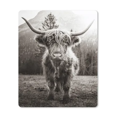 Produktbild von MuchoWow® Mauspad Mousepad Schottischer Highlander - Schwarz - Weiß - Tiere 19x23 cm - Mousepads - Maus Mat - Pad - Mausunterlage - Mauspads - Spielen