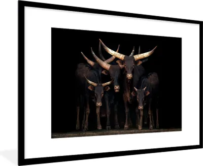 Produktbild von MuchoWow® MuchoWow® Gerahmtes Poster Kühe - Watussi - Schwarz 90x60 cm - Poster mit zchwarzem Bilderrahmen - Wanddekoration - Fotos